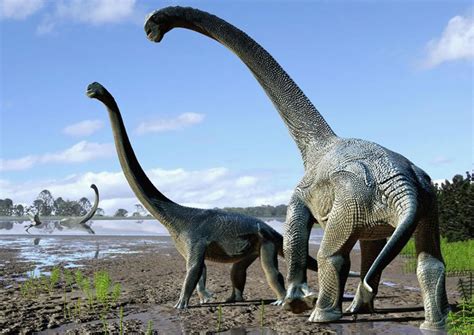 一亿年前的恐龙