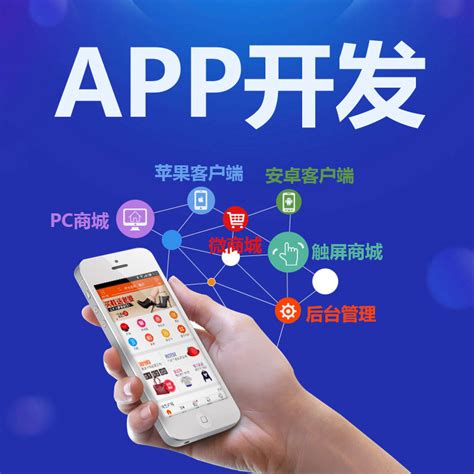 三明专业软件app开发