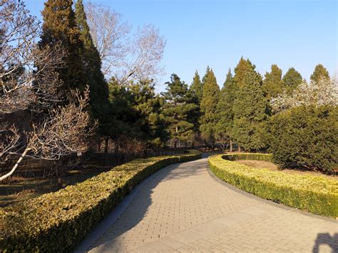 上半学期参观了北京植物园的感受