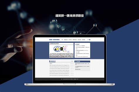 上海专业做网站建设