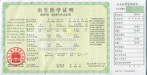 上海出生证翻译图片