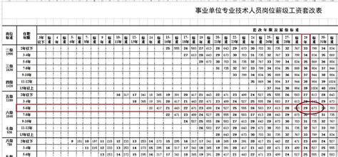 上海单位工资表怎么查