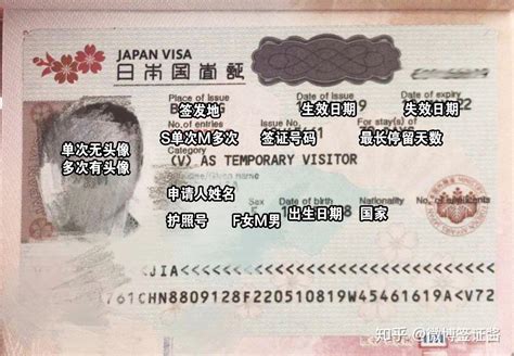 上海去日本旅游签证