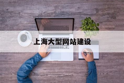 上海大型网站建设平台排名