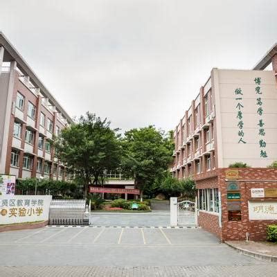 上海市奉贤区教育系统中小学