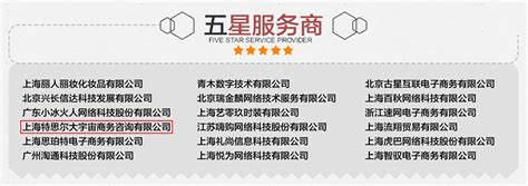 上海推广网站搭建五星服务