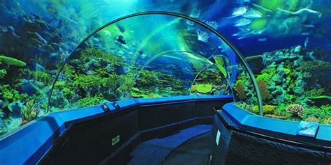 上海有哪些海洋公园水族馆