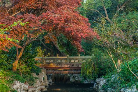 上海植物园秋景好看吗