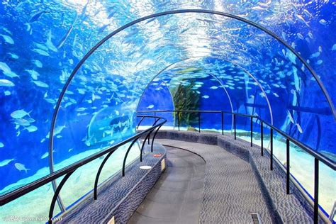 上海水族海洋馆好玩吗值得去吗