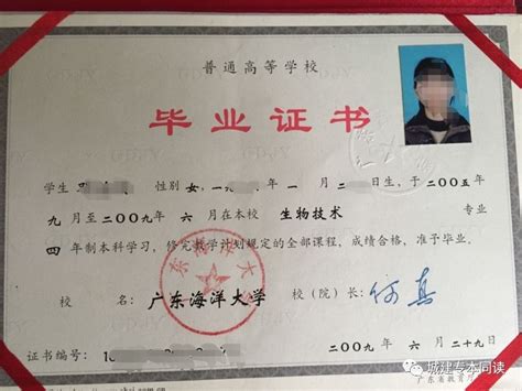 上海的本科大学毕业证