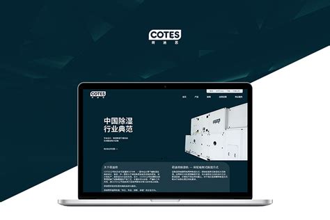 上海网站的建设公司