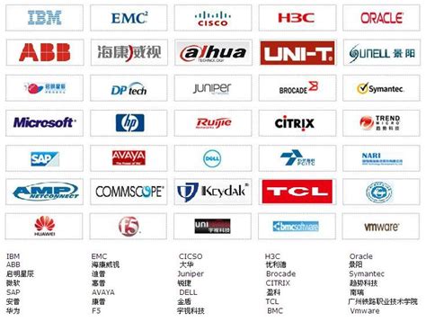 上海网络技术代理品牌