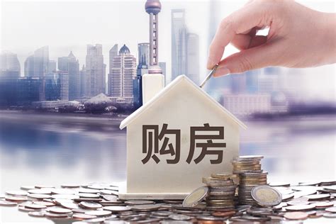 上海购房贷款流水