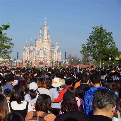 上海迪士尼人山人海 排队4小时