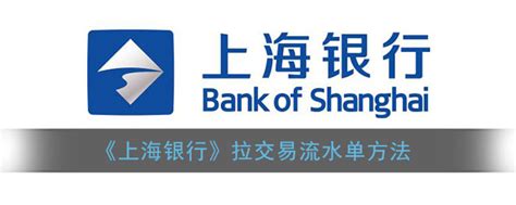 上海银行拉流水