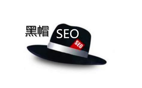 上海黑帽seo排名