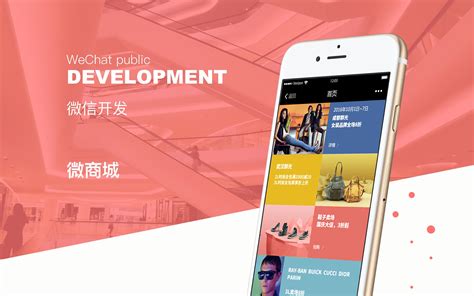 上海b2c商城网站定制开发