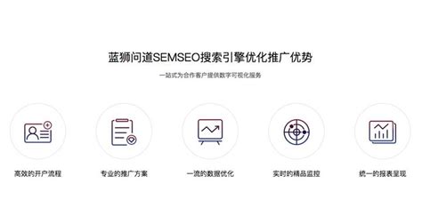 上海seo网络优化公司