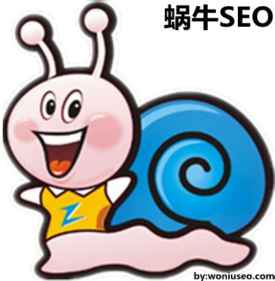 上海seo蜗牛博客