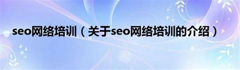 专业seo网络培训