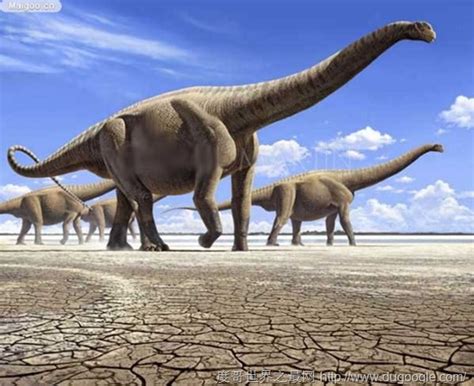 世界上最大恐龙排名前十名