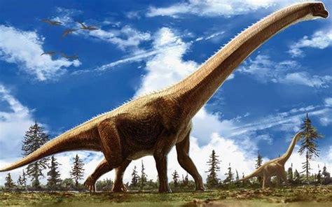 世界上最大的一只恐龙