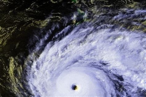 世界上最大的台风