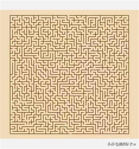 世界上最难的迷宫图