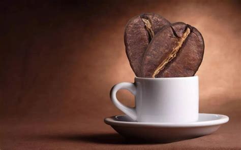 丙烯酰胺为什么在咖啡上存在