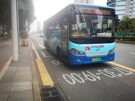 东莞公交车型
