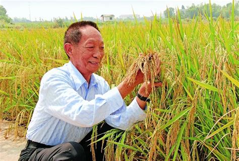 中国农业在世界上的成就