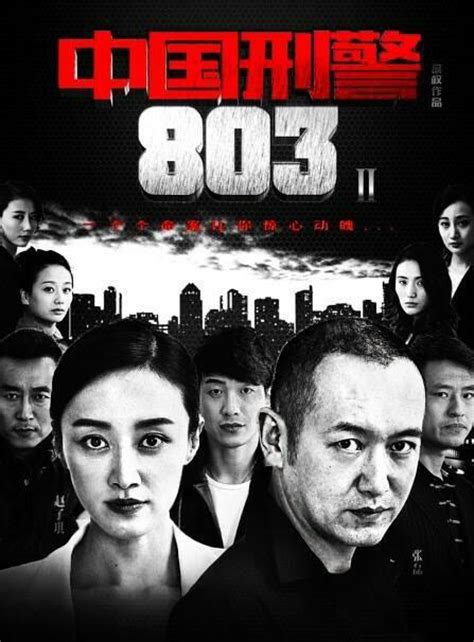中国刑警803电视剧第一部