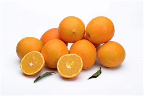 中国十大名橙排名