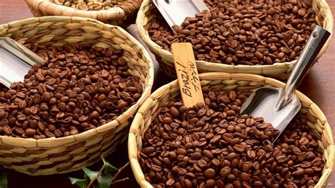 中国咖啡豆产地主要在哪里