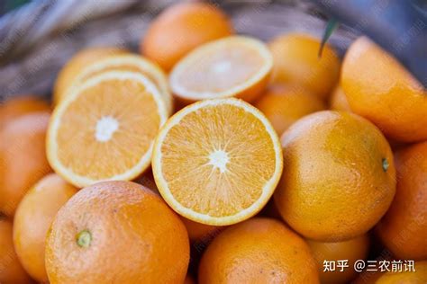 中国哪里的冰糖橙最有名
