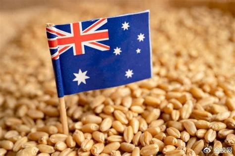 中国在澳洲大麦市场