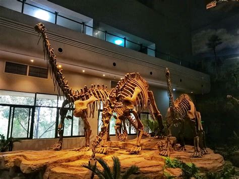 中国最大的恐龙博物馆在哪里