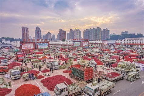 中国最大的辣椒市场柘城