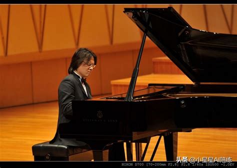 中国钢琴家排名榜