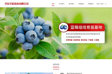 丹东网站推广的公司