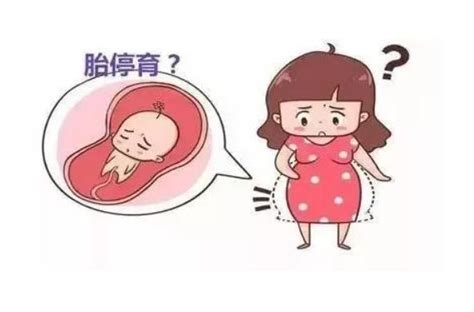 为什么怀孕八周左右容易胎停