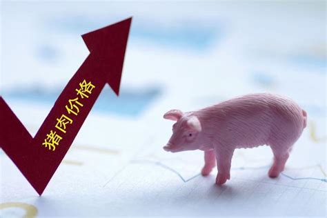为什么猪价上涨正邦科技反而深跌
