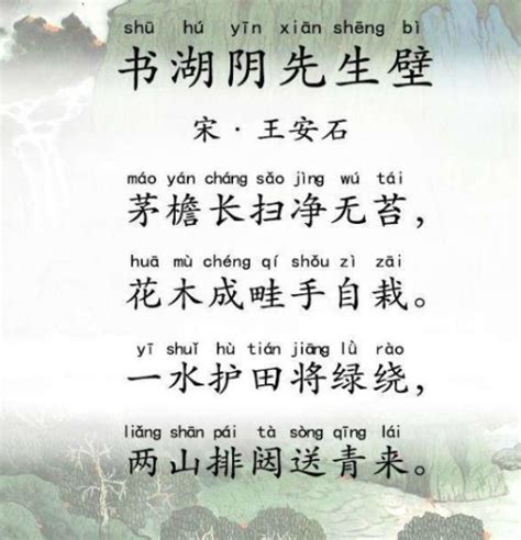书湖阴先生壁的诗意简短20字
