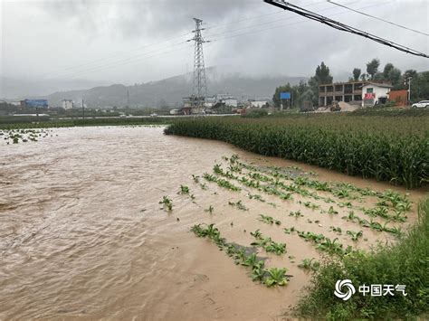 云南省今年洪灾地区有哪些