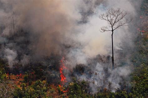 亚马逊森林大火记录