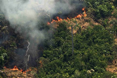 亚马逊森林火灾死伤人数