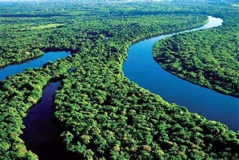亚马逊河之谜