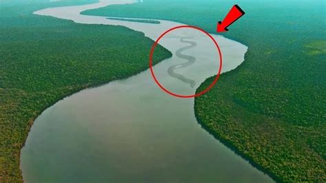 亚马逊河到底有多恐怖图文