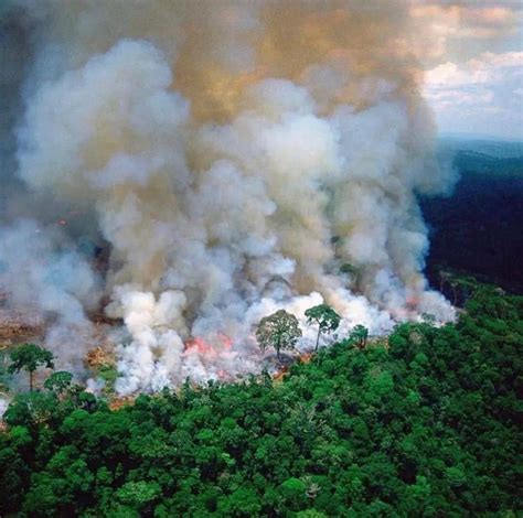 亚马逊热带雨林火灭了吗