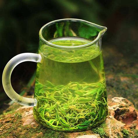 人们常说绿茶是什么意思